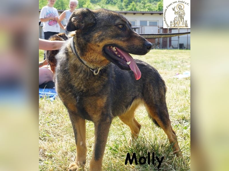 Molly – Ein bisschen Ruhe und viel Liebe!