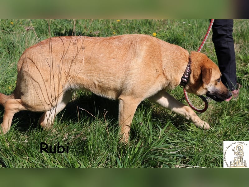 Rubi - wer zeigt ihr die Welt?