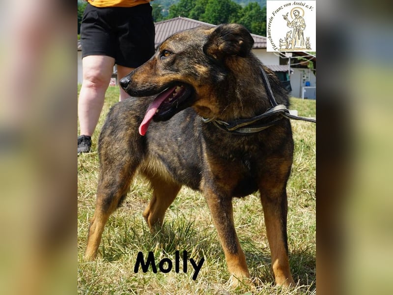 Molly – Ein bisschen Ruhe und viel Liebe!
