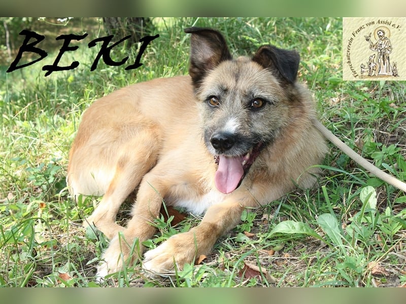 Sanfte liebe Beki