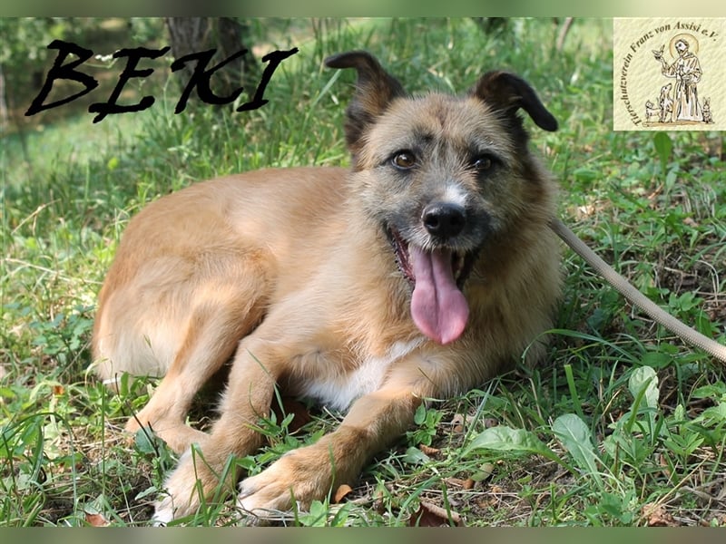 Sanfte liebe Beki