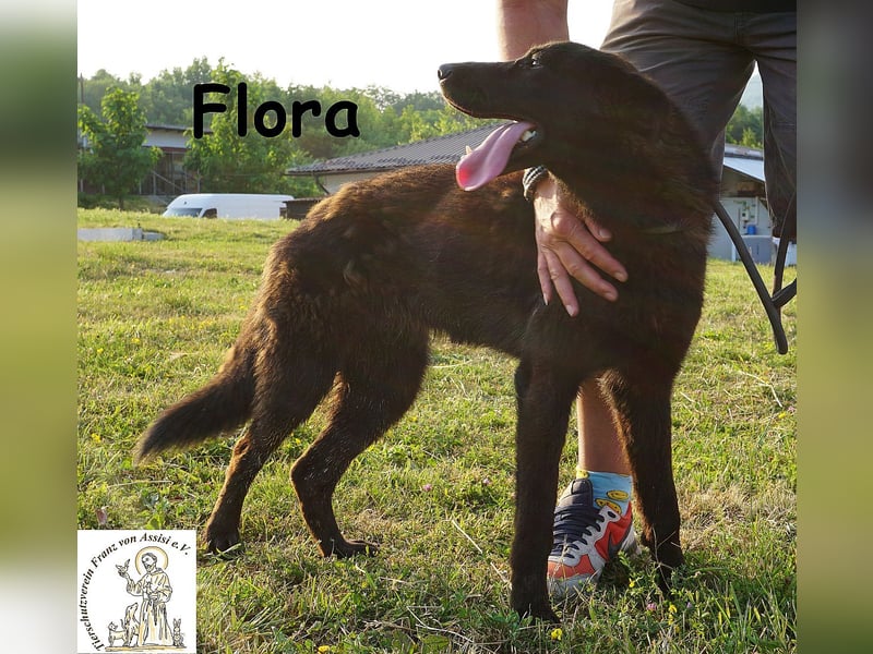 Flora – ein Sonnenschein, der dein Leben aufhellen wird!