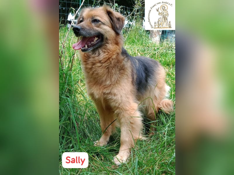 Sally - die scheue Schönheit