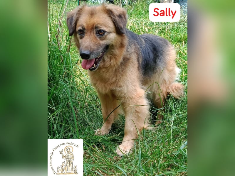 Sally - die scheue Schönheit