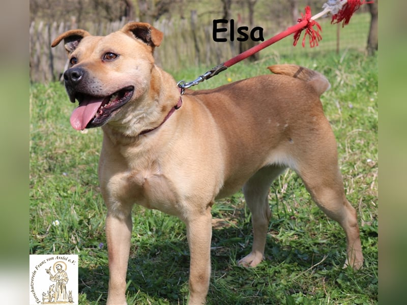 Elsa – die Prinzessin