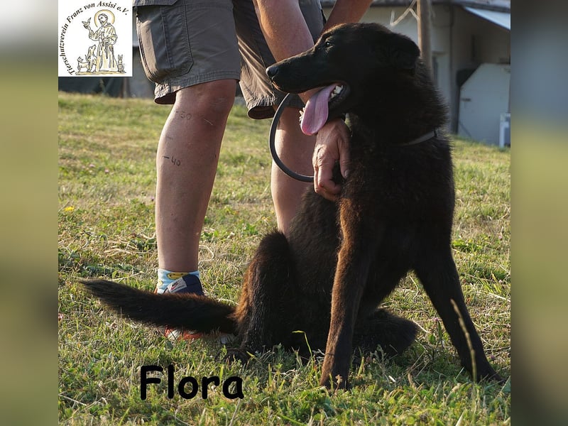 Flora – ein Sonnenschein, der dein Leben aufhellen wird!