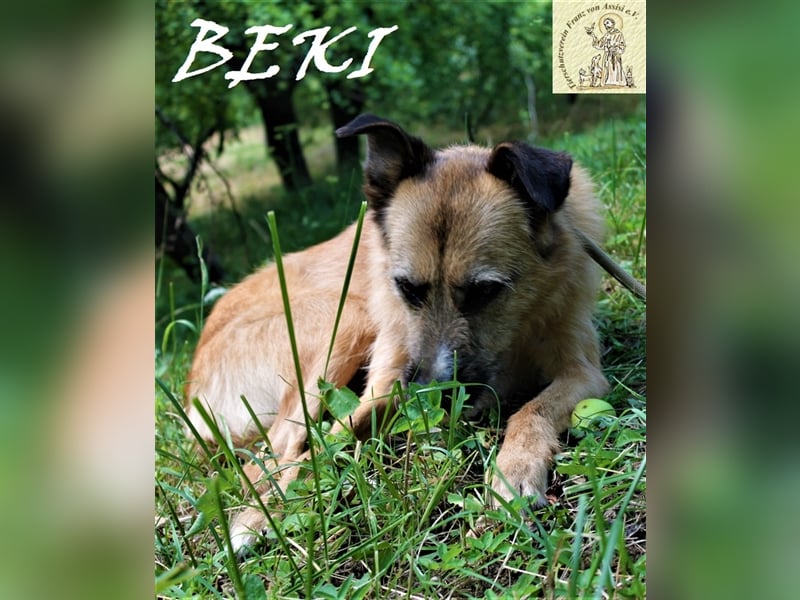 Sanfte liebe Beki