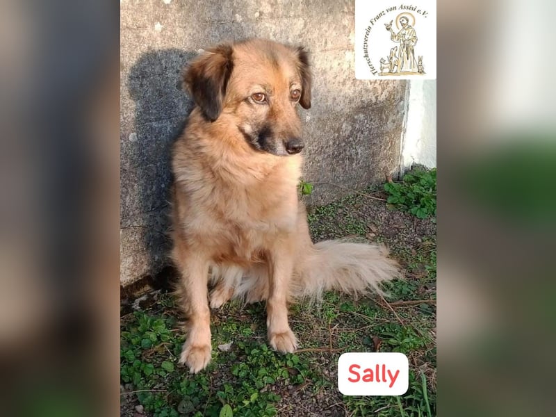 Sally - die scheue Schönheit
