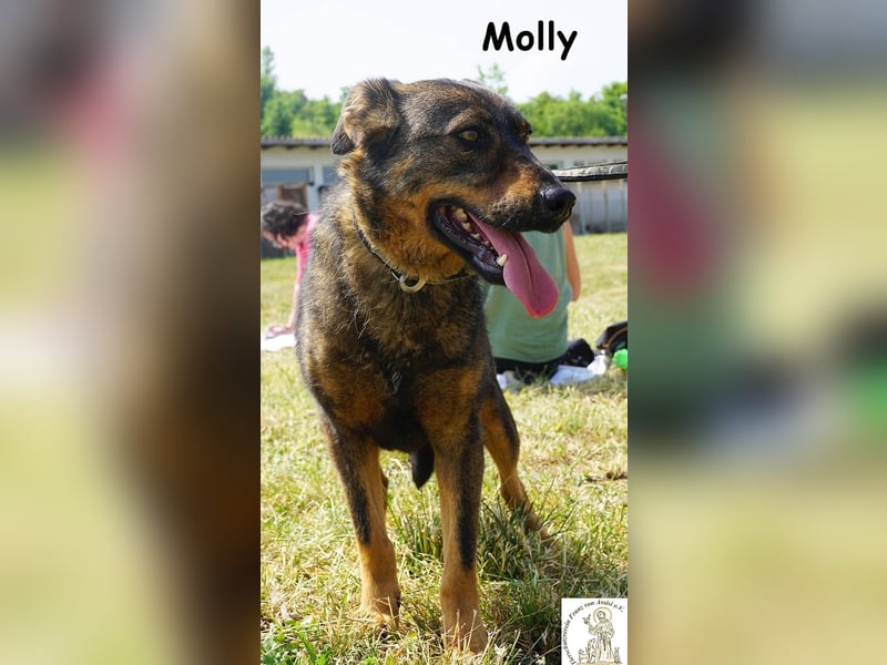 Molly – Ein bisschen Ruhe und viel Liebe!