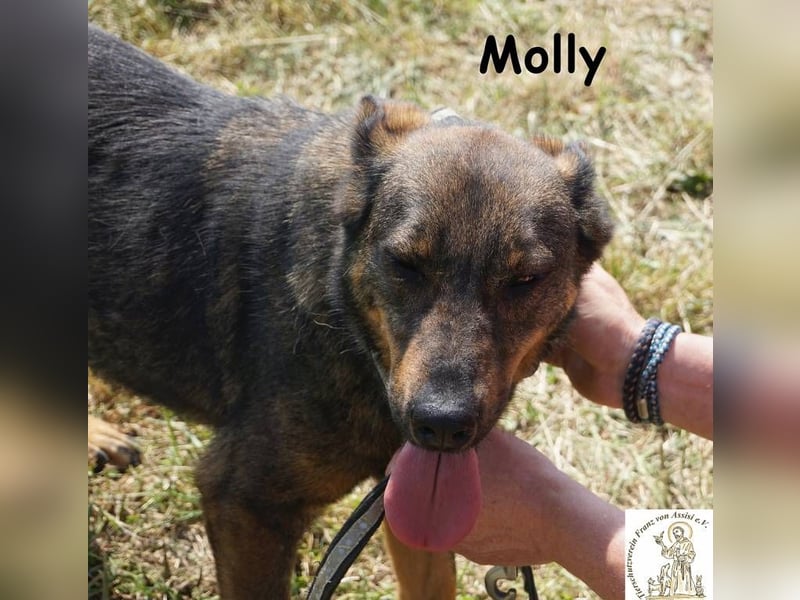 Molly – Ein bisschen Ruhe und viel Liebe!