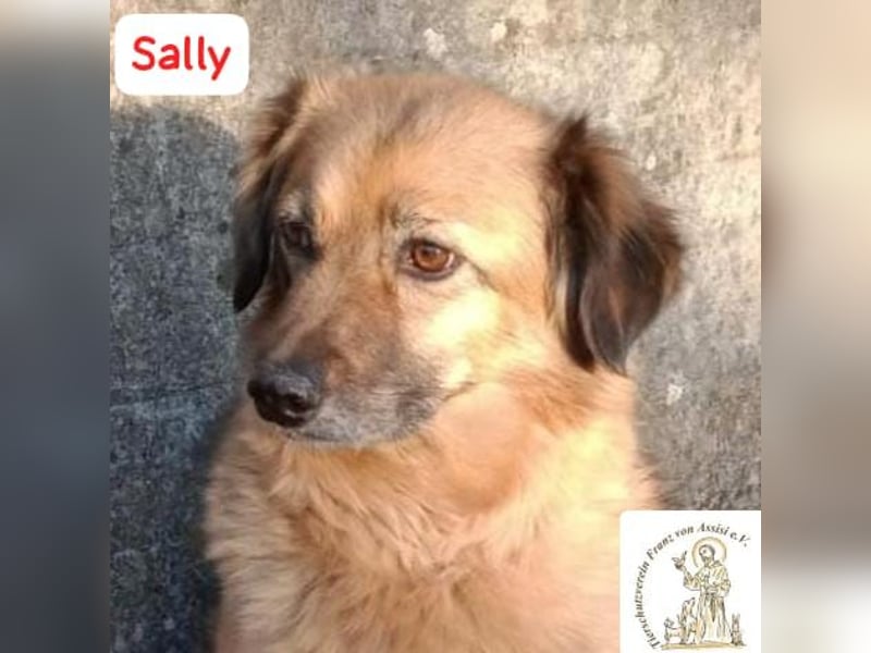 Sally - die scheue Schönheit