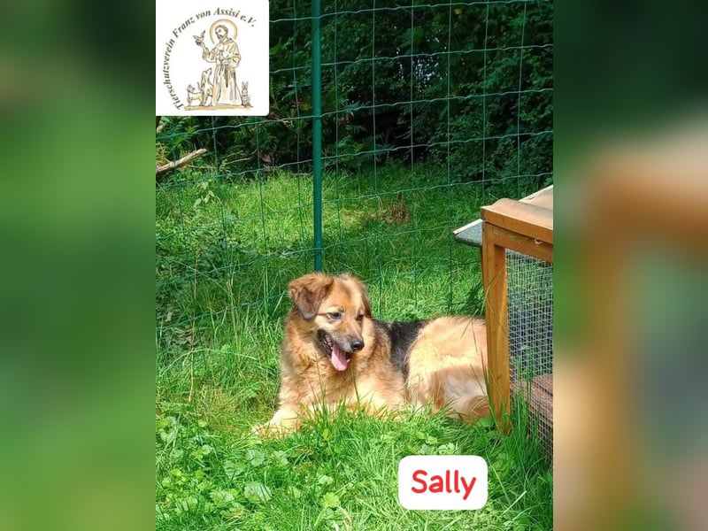 Sally - die scheue Schönheit