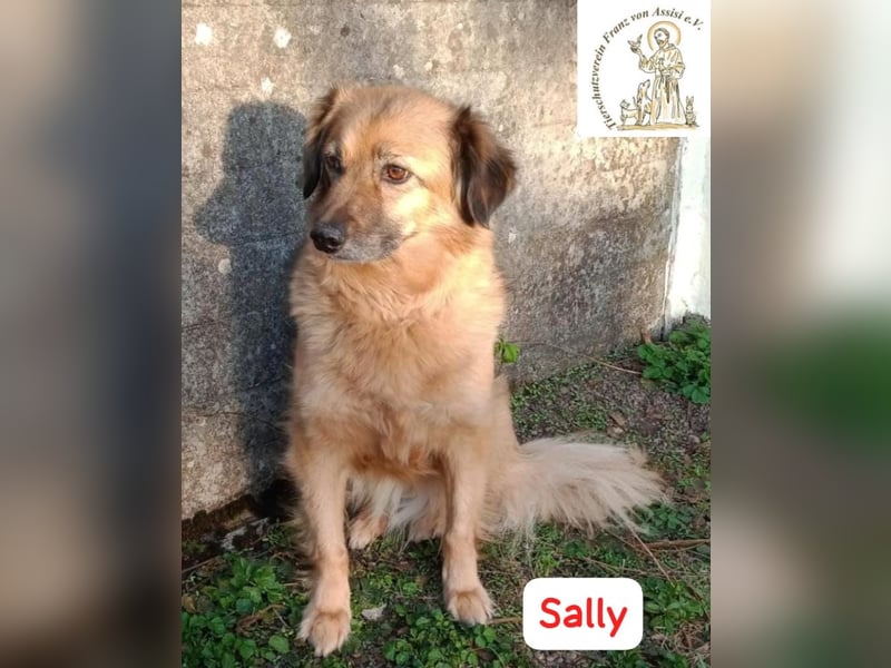 Sally - die scheue Schönheit