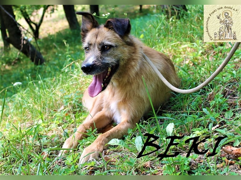 Sanfte liebe Beki