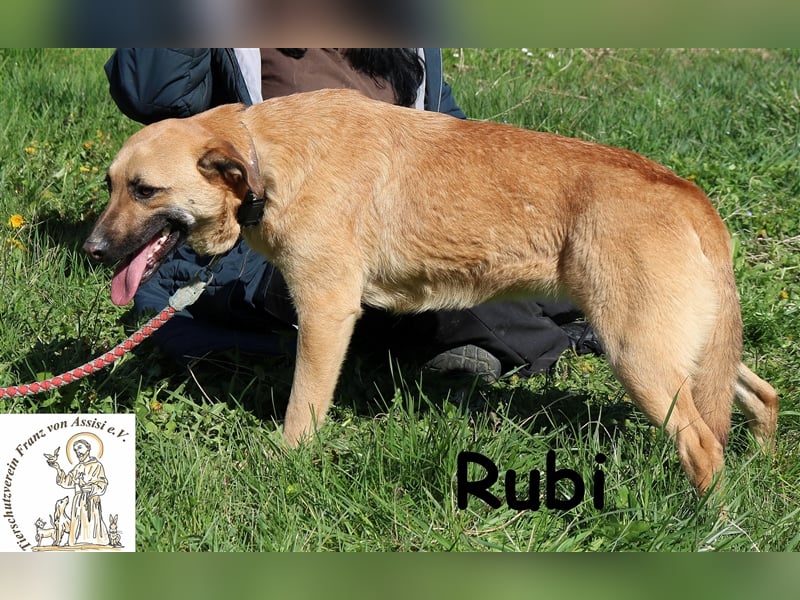 Rubi - wer zeigt ihr die Welt?