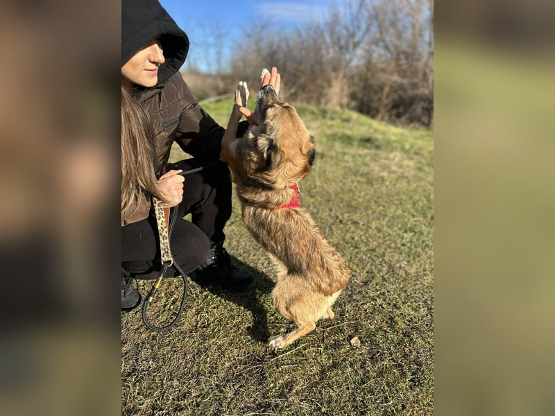Süße Malou sucht eine liebevolle Familie