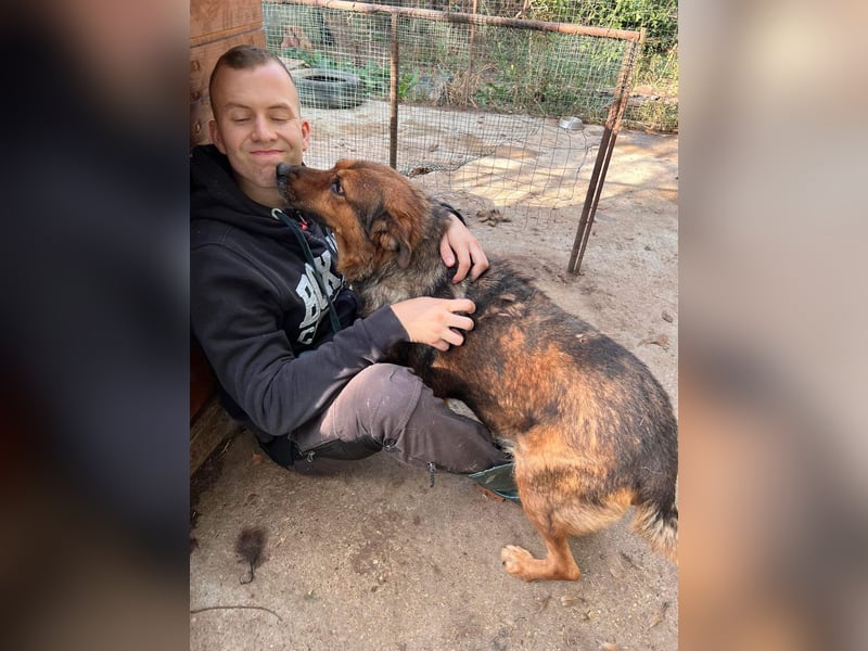 Mega verschmuste Seniorin Nikita
