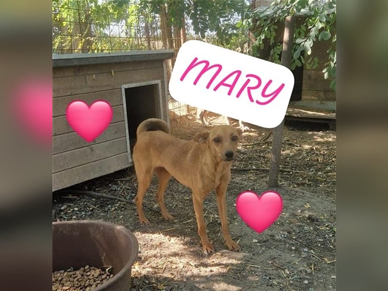 Goldstück Mary möchte Rumänien ganz schnell verlassen
