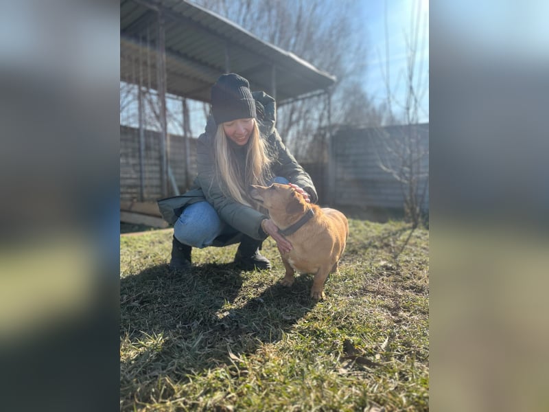 Ginger will Zuhause ankommen