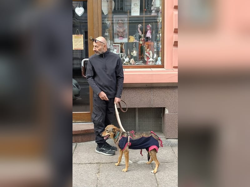 KINUSHI soll endlich entgültig ankommen