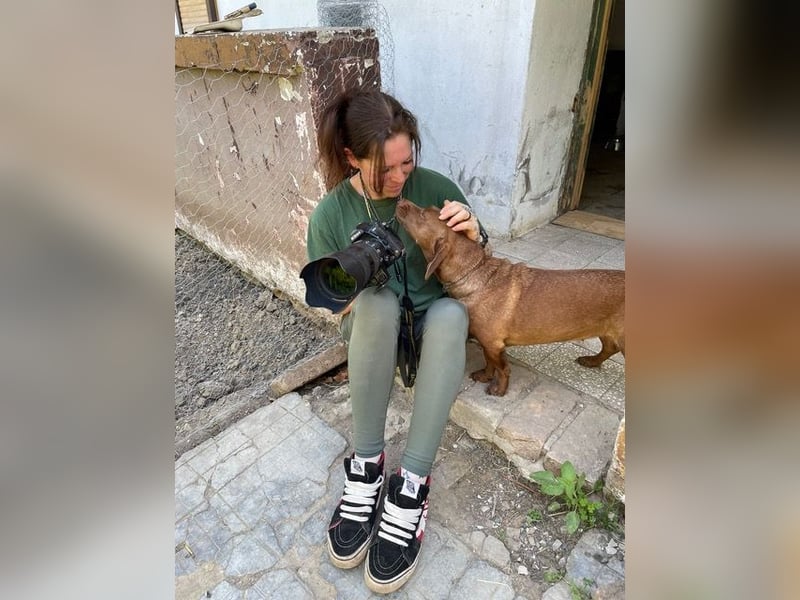 Lucy, super süße sonnenscheinige Hündin