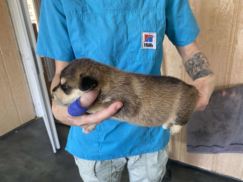 Zoe, süße Maus sucht