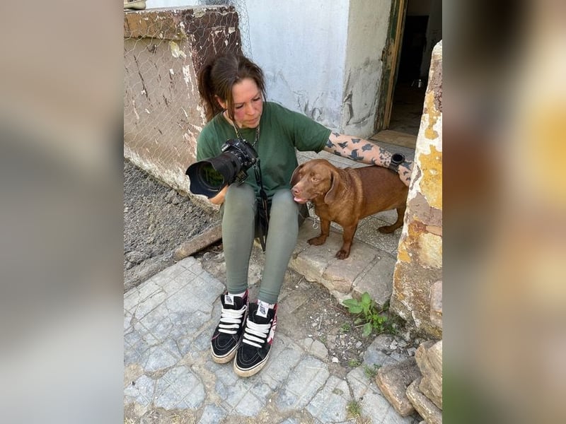 Lucy, super süße sonnenscheinige Hündin