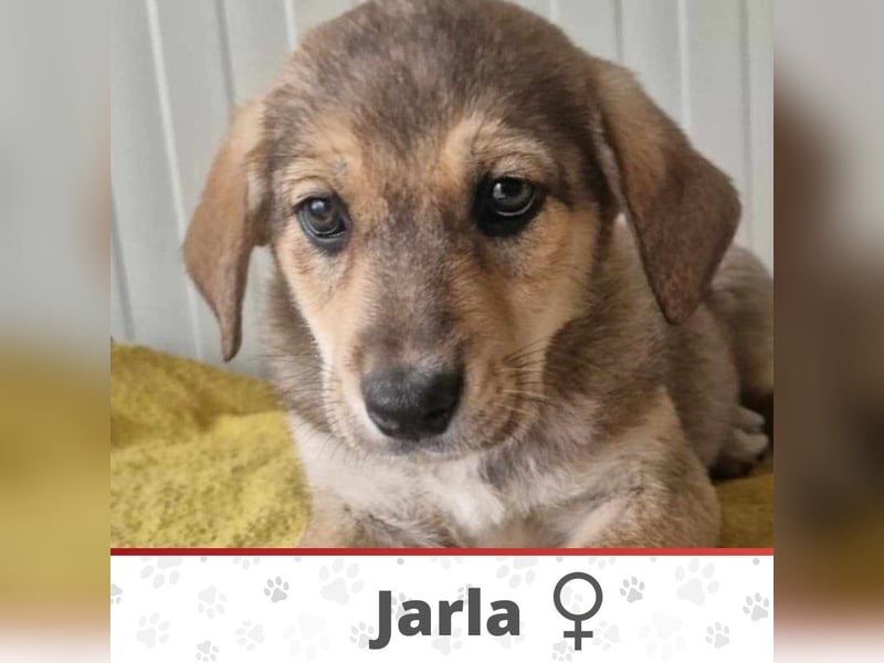 JARLA ❤  wartet in 37284 Waldkappel auf Dich