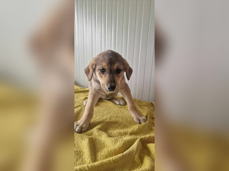 JARLA ❤  wartet in 37284 Waldkappel auf Dich