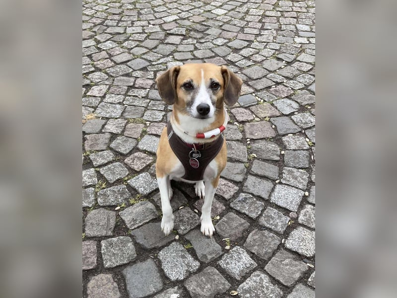 NOENA ❤  wartet in 20535 Hamburg auf Dich