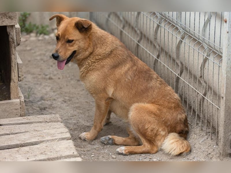 Daisy – Einzelprinzessin sucht Reich