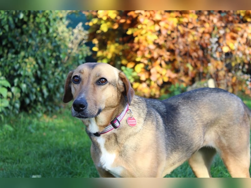 Freya sucht ihre Familie