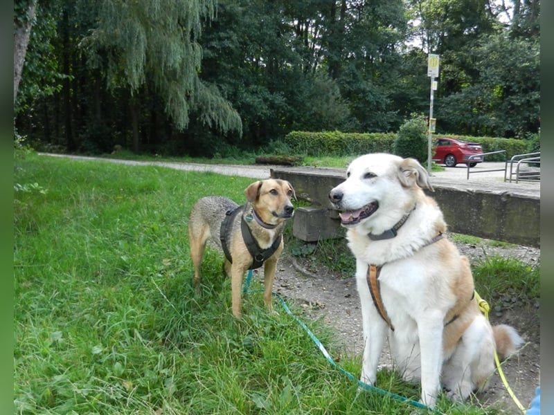 Freya sucht ihre Familie