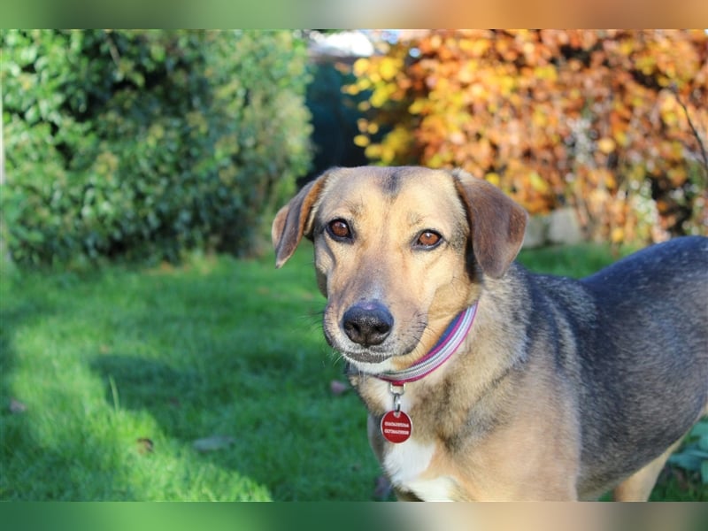 Freya sucht ihre Familie