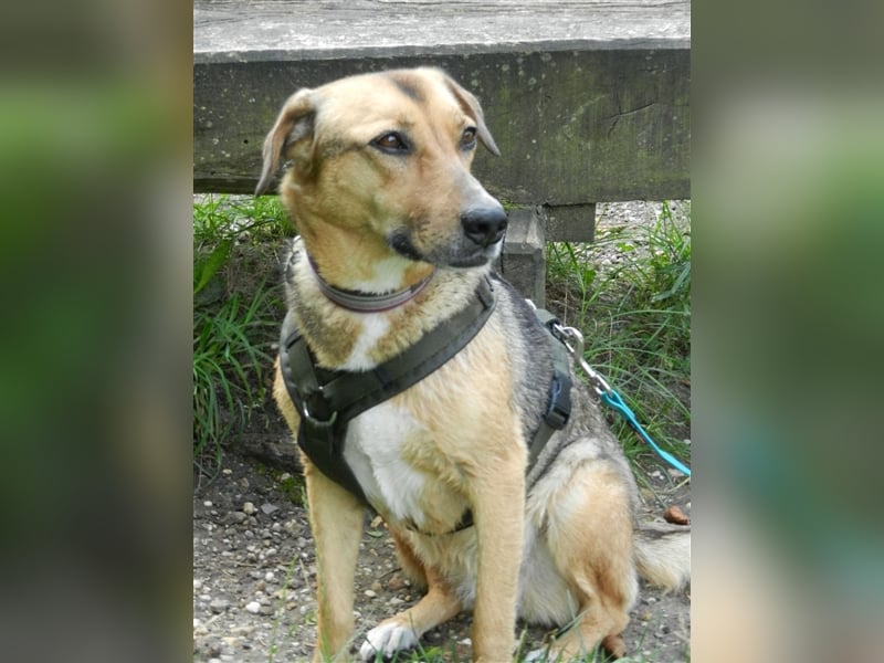 Freya sucht ihre Familie