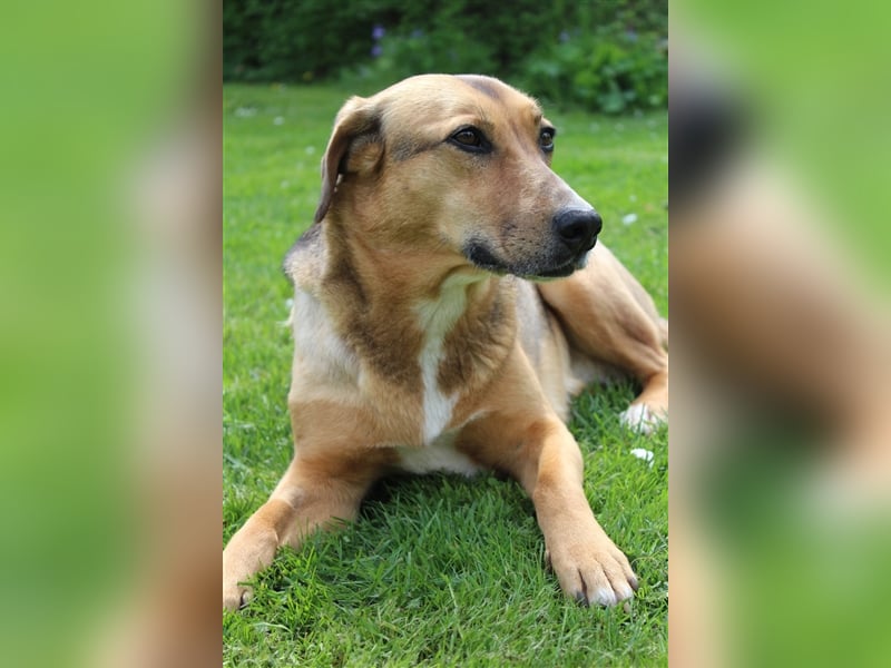 Freya sucht ihre Familie