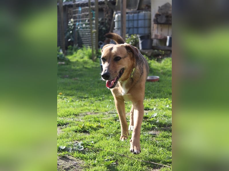 Freya sucht ihre Familie