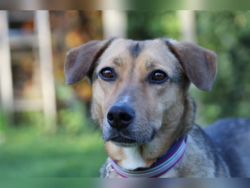 Freya sucht ihre Familie