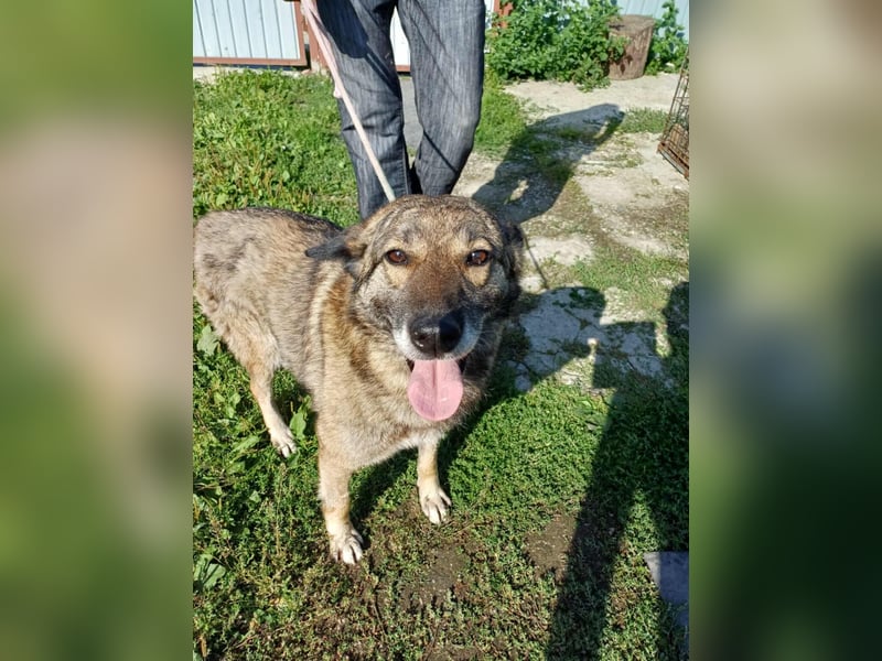 Elsa - sooo lieb und freundlich