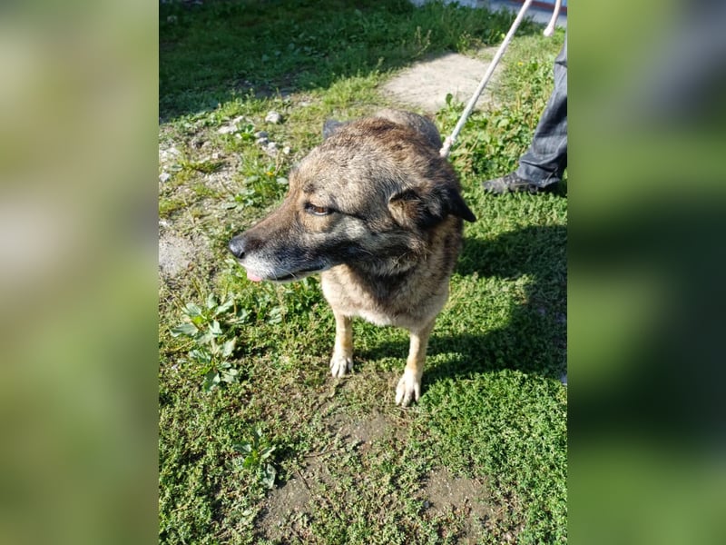 Elsa - sooo lieb und freundlich