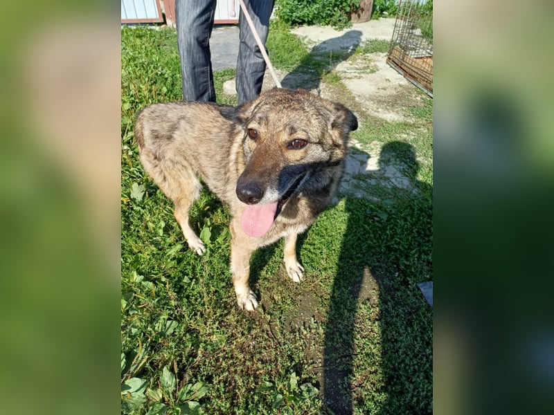 Elsa - sooo lieb und freundlich
