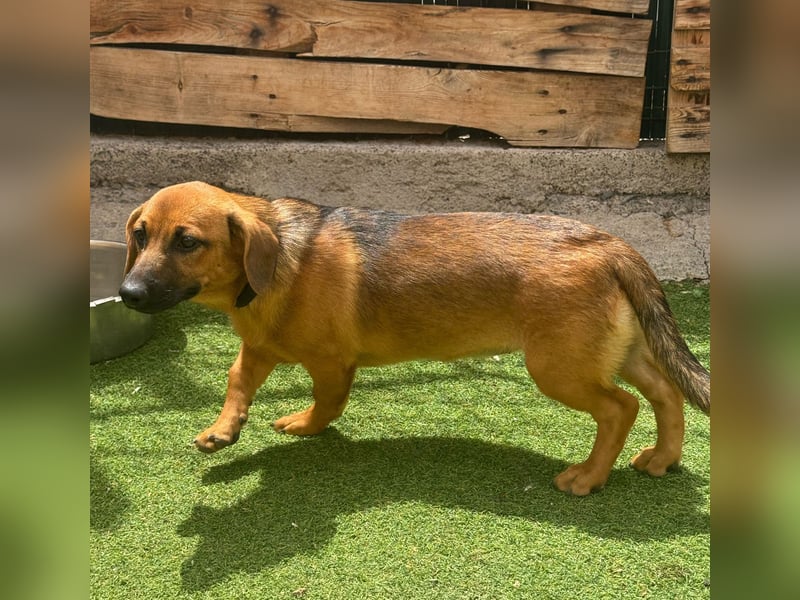 Zira