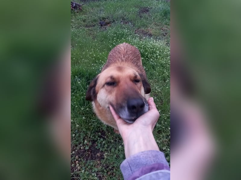 Mamy - ausgeglichen und freundlich