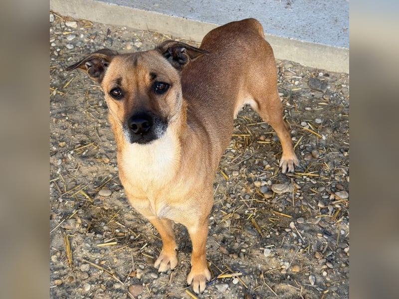 LANAI SUCHT IHRE FAMILIE