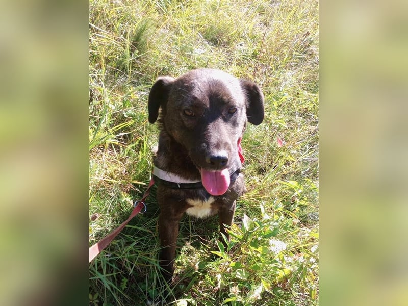 BETTY - hat ihr Herz zu verschenken