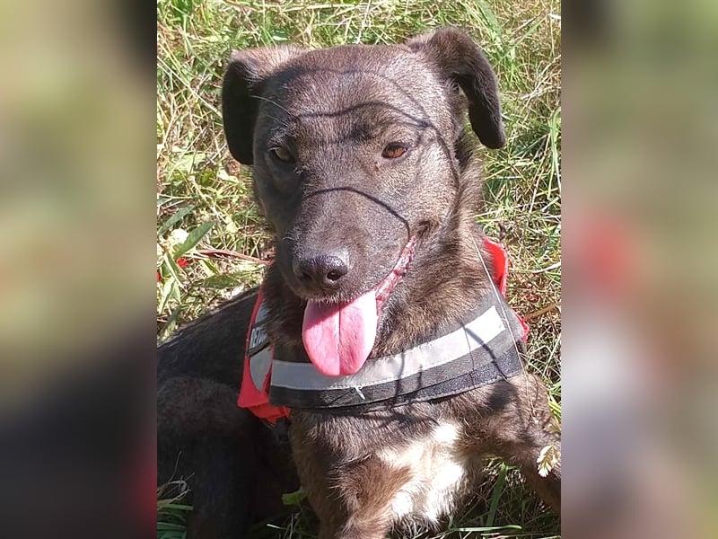BETTY - hat ihr Herz zu verschenken