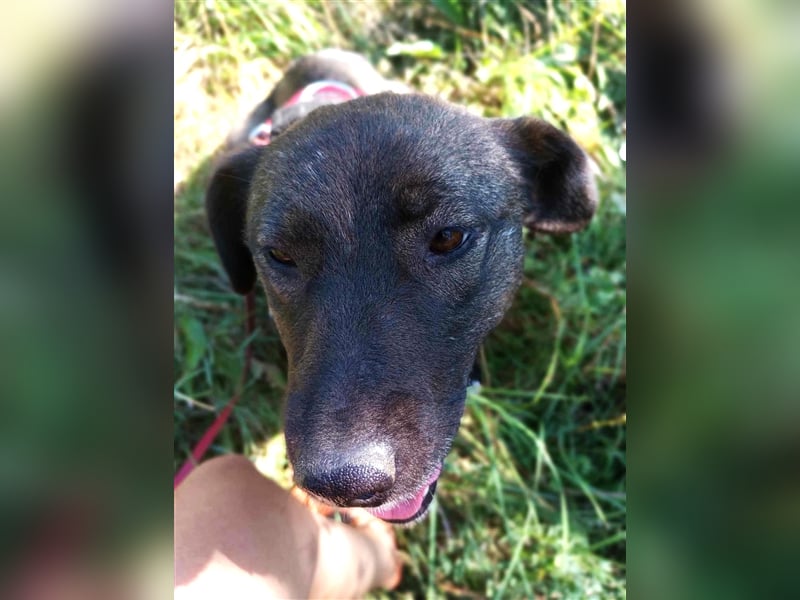 BETTY - hat ihr Herz zu verschenken