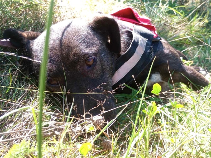 BETTY - hat ihr Herz zu verschenken