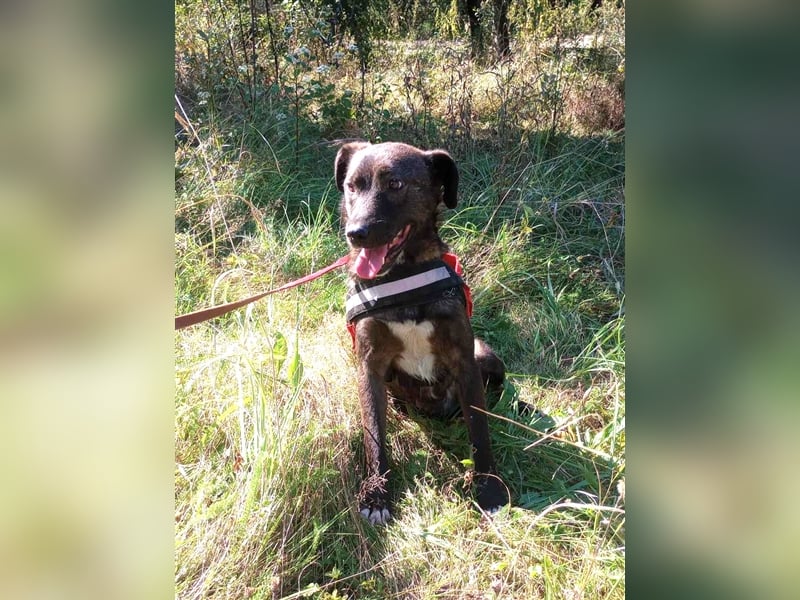 BETTY - hat ihr Herz zu verschenken