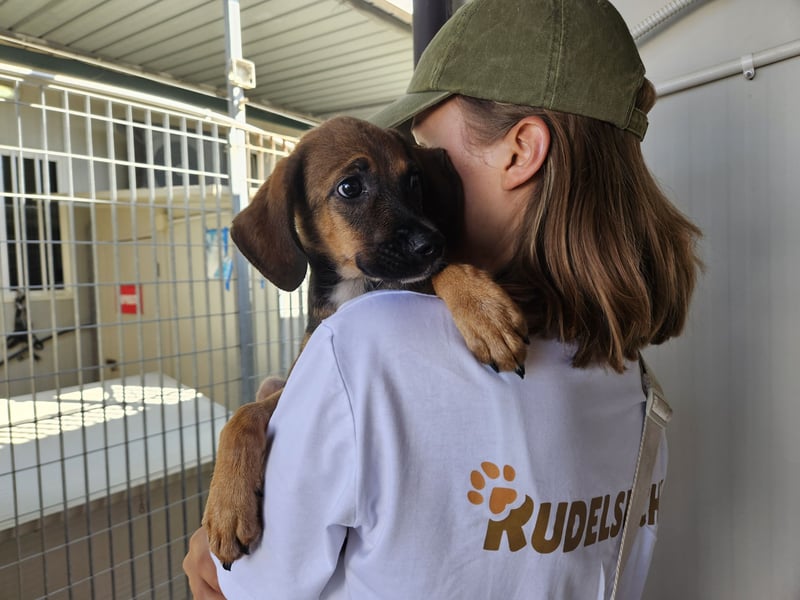 Budina: so klein und so allein